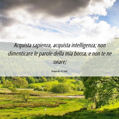 Picture 06 - Proverbi 4:5 RIV - Acquista sapienza, acquista intelligenza; non - Bible Verse Picture