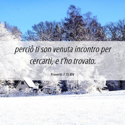 Picture 06 - Proverbi 7:15 RIV - perciò ti son venuta incontro per cercarti, e - Bible Verse Picture