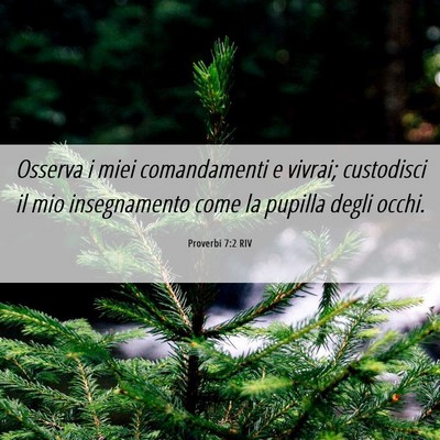 Picture 06 - Proverbi 7:2 RIV - Osserva i miei comandamenti e vivrai; custodisci - Bible Verse Picture