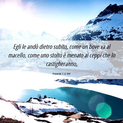 Picture 06 - Proverbi 7:22 RIV - Egli le andò dietro subito, come un bove va al - Bible Verse Picture