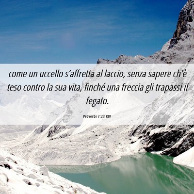 Picture 06 - Proverbi 7:23 RIV - come un uccello s’affretta al laccio, senza - Bible Verse Picture