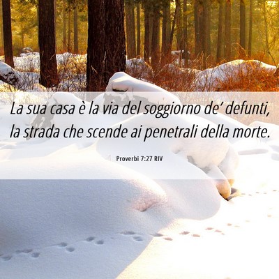 Picture 06 - Proverbi 7:27 RIV - La sua casa è la via del soggiorno de’ - Bible Verse Picture