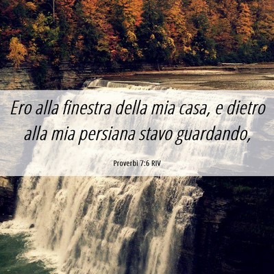 Picture 06 - Proverbi 7:6 RIV - Ero alla finestra della mia casa, e dietro alla - Bible Verse Picture