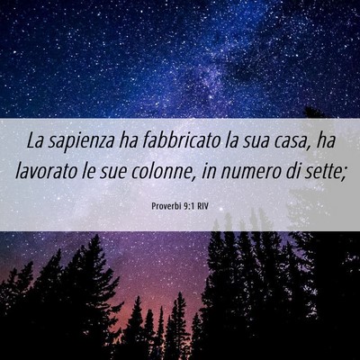 Picture 06 - Proverbi 9:1 RIV - La sapienza ha fabbricato la sua casa, ha - Bible Verse Picture