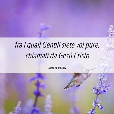 Picture 06 - Romani 1:6 RIV - fra i quali Gentili siete voi pure, chiamati da - Bible Verse Picture