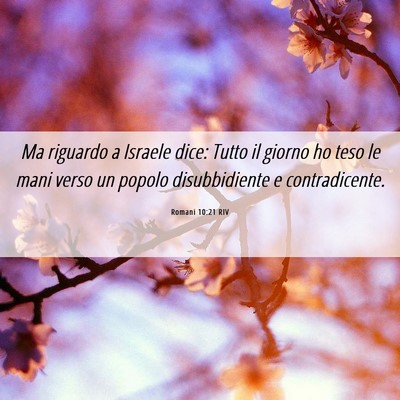 Picture 06 - Romani 10:21 RIV - Ma riguardo a Israele dice: Tutto il giorno ho - Bible Verse Picture
