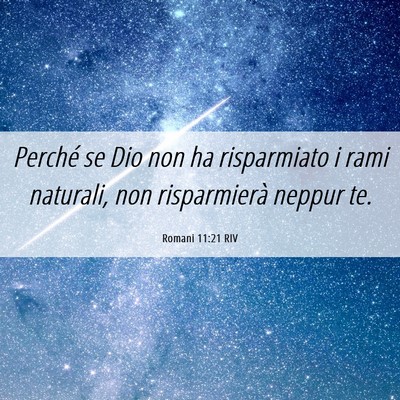 Picture 06 - Romani 11:21 RIV - Perché se Dio non ha risparmiato i rami - Bible Verse Picture