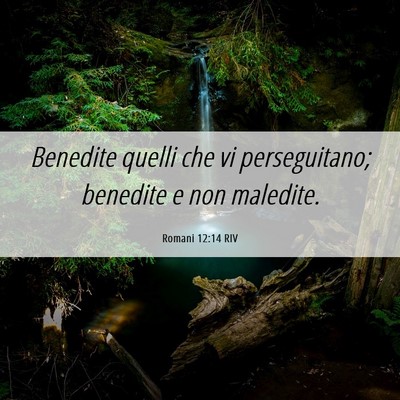 Picture 06 - Romani 12:14 RIV - Benedite quelli che vi perseguitano; benedite e - Bible Verse Picture