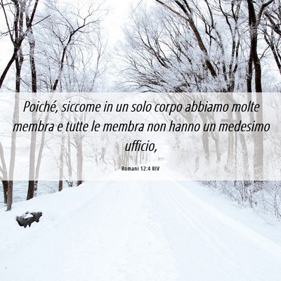 Picture 06 - Romani 12:4 RIV - Poiché, siccome in un solo corpo abbiamo molte - Bible Verse Picture
