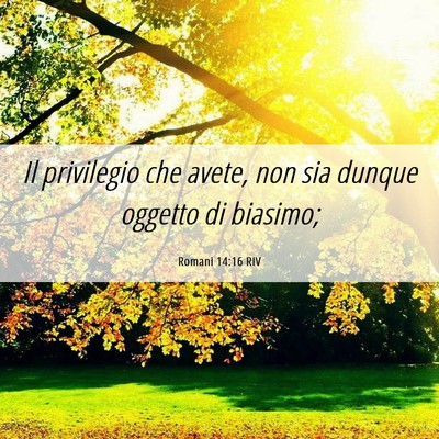Picture 06 - Romani 14:16 RIV - Il privilegio che avete, non sia dunque oggetto - Bible Verse Picture
