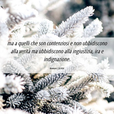 Picture 06 - Romani 2:8 RIV - ma a quelli che son contenziosi e non ubbidiscono - Bible Verse Picture