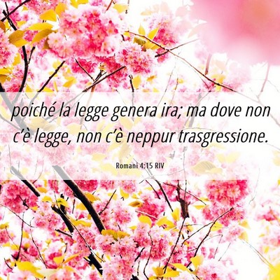 Picture 06 - Romani 4:15 RIV - poiché la legge genera ira; ma dove non c’è - Bible Verse Picture