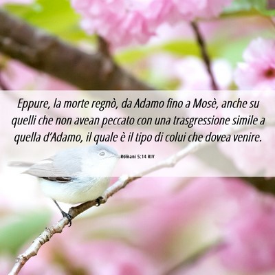 Picture 06 - Romani 5:14 RIV - Eppure, la morte regnò, da Adamo fino a Mosè, - Bible Verse Picture