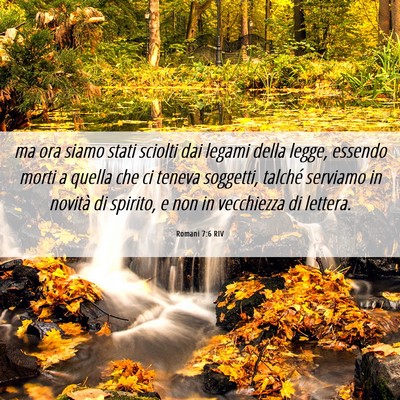 Picture 06 - Romani 7:6 RIV - ma ora siamo stati sciolti dai legami della - Bible Verse Picture