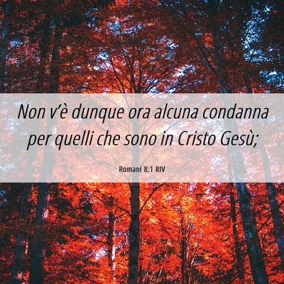 Picture 06 - Romani 8:1 RIV - Non v’è dunque ora alcuna condanna per quelli - Bible Verse Picture