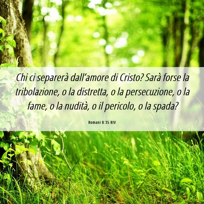 Picture 06 - Romani 8:35 RIV - Chi ci separerà dall’amore di Cristo? Sarà - Bible Verse Picture