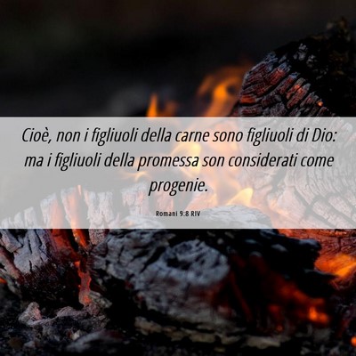 Picture 06 - Romani 9:8 RIV - Cioè, non i figliuoli della carne sono figliuoli - Bible Verse Picture
