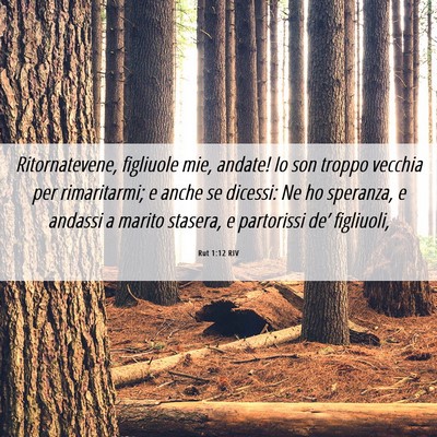 Picture 06 - Rut 1:12 RIV - Ritornatevene, figliuole mie, andate! Io son - Bible Verse Picture