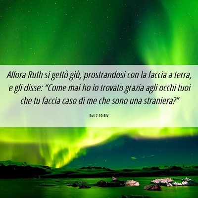 Picture 06 - Rut 2:10 RIV - Allora Ruth si gettò giù, prostrandosi con la - Bible Verse Picture