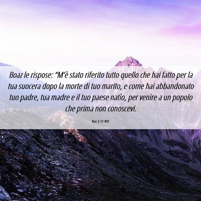 Picture 06 - Rut 2:11 RIV - Boaz le rispose: “M’è stato riferito tutto - Bible Verse Picture