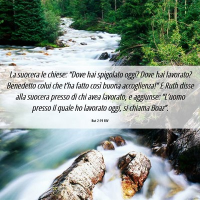 Picture 06 - Rut 2:19 RIV - La suocera le chiese: “Dove hai spigolato oggi? - Bible Verse Picture