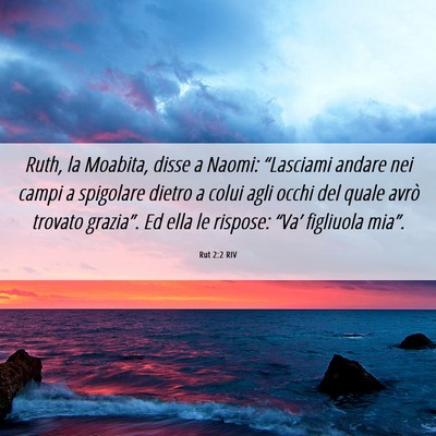 Picture 06 - Rut 2:2 RIV - Ruth, la Moabita, disse a Naomi: “Lasciami - Bible Verse Picture