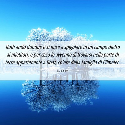 Picture 06 - Rut 2:3 RIV - Ruth andò dunque e si mise a spigolare in un - Bible Verse Picture