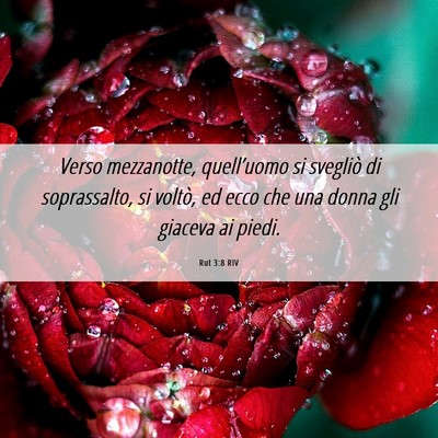 Picture 06 - Rut 3:8 RIV - Verso mezzanotte, quell’uomo si svegliò di - Bible Verse Picture