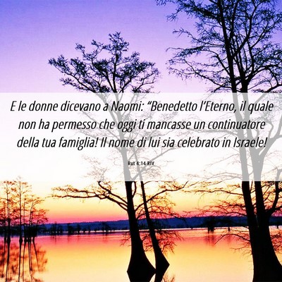 Picture 06 - Rut 4:14 RIV - E le donne dicevano a Naomi: “Benedetto - Bible Verse Picture