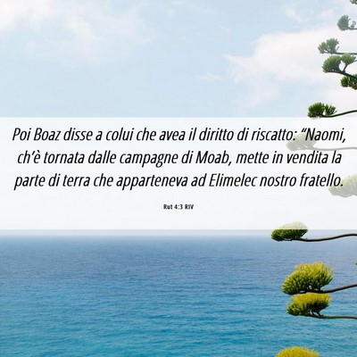 Picture 06 - Rut 4:3 RIV - Poi Boaz disse a colui che avea il diritto di - Bible Verse Picture
