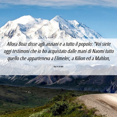 Picture 06 - Rut 4:9 RIV - Allora Boaz disse agli anziani e a tutto il - Bible Verse Picture