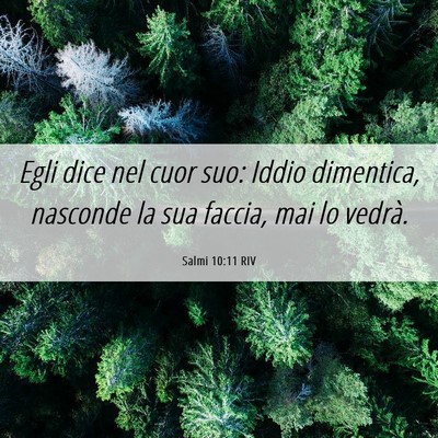 Picture 06 - Salmi 10:11 RIV - Egli dice nel cuor suo: Iddio dimentica, nasconde - Bible Verse Picture