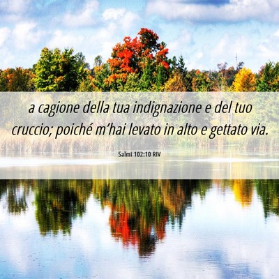 Picture 06 - Salmi 102:10 RIV - a cagione della tua indignazione e del tuo - Bible Verse Picture