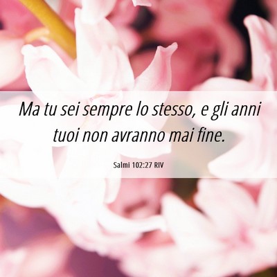 Picture 06 - Salmi 102:27 RIV - Ma tu sei sempre lo stesso, e gli anni tuoi non - Bible Verse Picture