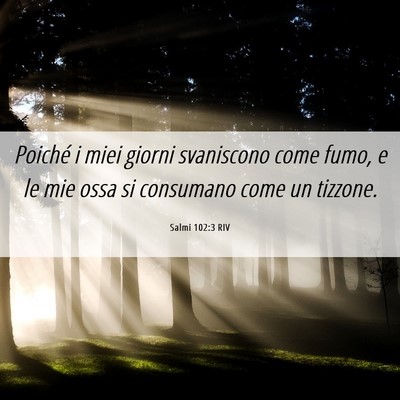 Picture 06 - Salmi 102:3 RIV - Poiché i miei giorni svaniscono come fumo, e le - Bible Verse Picture