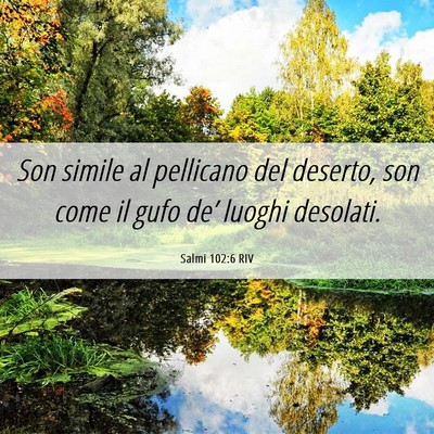 Picture 06 - Salmi 102:6 RIV - Son simile al pellicano del deserto, son come il - Bible Verse Picture