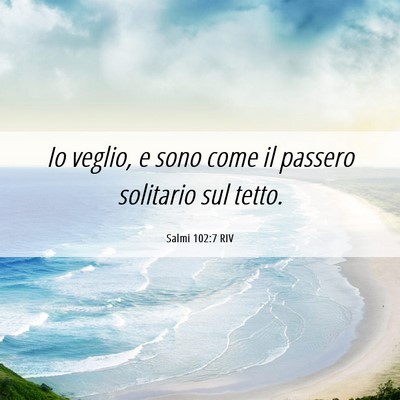 Picture 06 - Salmi 102:7 RIV - Io veglio, e sono come il passero solitario sul - Bible Verse Picture