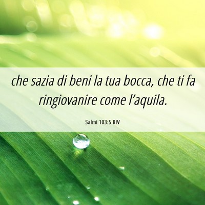Picture 06 - Salmi 103:5 RIV - che sazia di beni la tua bocca, che ti fa - Bible Verse Picture