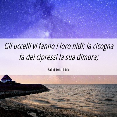 Picture 06 - Salmi 104:17 RIV - Gli uccelli vi fanno i loro nidi; la cicogna fa - Bible Verse Picture