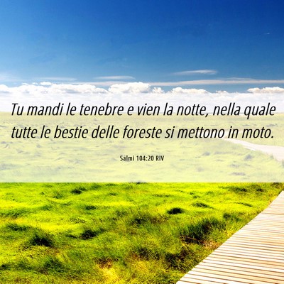 Picture 06 - Salmi 104:20 RIV - Tu mandi le tenebre e vien la notte, nella quale - Bible Verse Picture