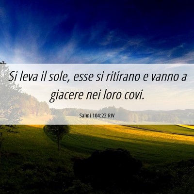 Picture 06 - Salmi 104:22 RIV - Si leva il sole, esse si ritirano e vanno a - Bible Verse Picture
