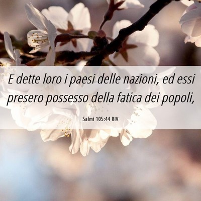 Picture 06 - Salmi 105:44 RIV - E dette loro i paesi delle nazioni, ed essi - Bible Verse Picture