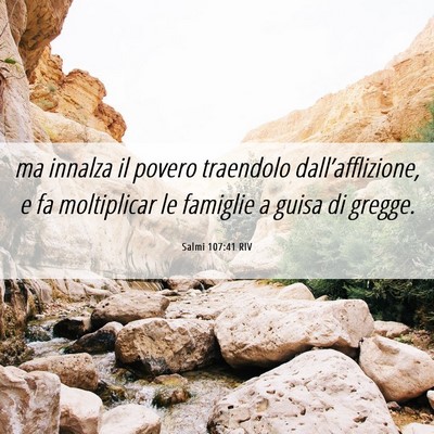 Picture 06 - Salmi 107:41 RIV - ma innalza il povero traendolo dall’afflizione, - Bible Verse Picture