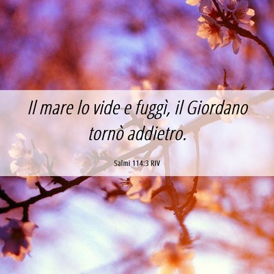 Picture 06 - Salmi 114:3 RIV - Il mare lo vide e fuggì, il Giordano tornò - Bible Verse Picture
