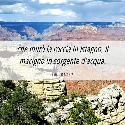 Picture 06 - Salmi 114:8 RIV - che mutò la roccia in istagno, il macigno in - Bible Verse Picture
