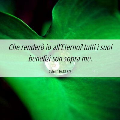 Picture 06 - Salmi 116:12 RIV - Che renderò io all’Eterno? tutti i suoi - Bible Verse Picture