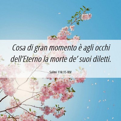 Picture 06 - Salmi 116:15 RIV - Cosa di gran momento è agli occhi dell’Eterno - Bible Verse Picture