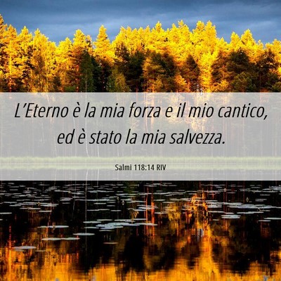 Picture 06 - Salmi 118:14 RIV - L’Eterno è la mia forza e il mio cantico, ed - Bible Verse Picture