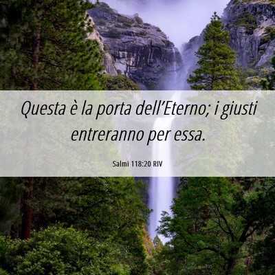 Picture 06 - Salmi 118:20 RIV - Questa è la porta dell’Eterno; i giusti - Bible Verse Picture