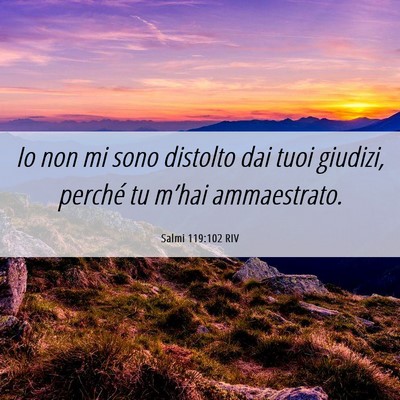 Picture 06 - Salmi 119:102 RIV - Io non mi sono distolto dai tuoi giudizi, perché - Bible Verse Picture